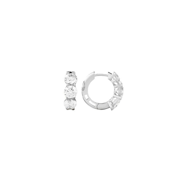 Huggie Earrings