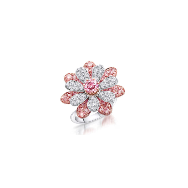 Statement Ring
