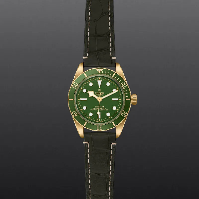 Black Bay 58 18K - Little Switzerland
