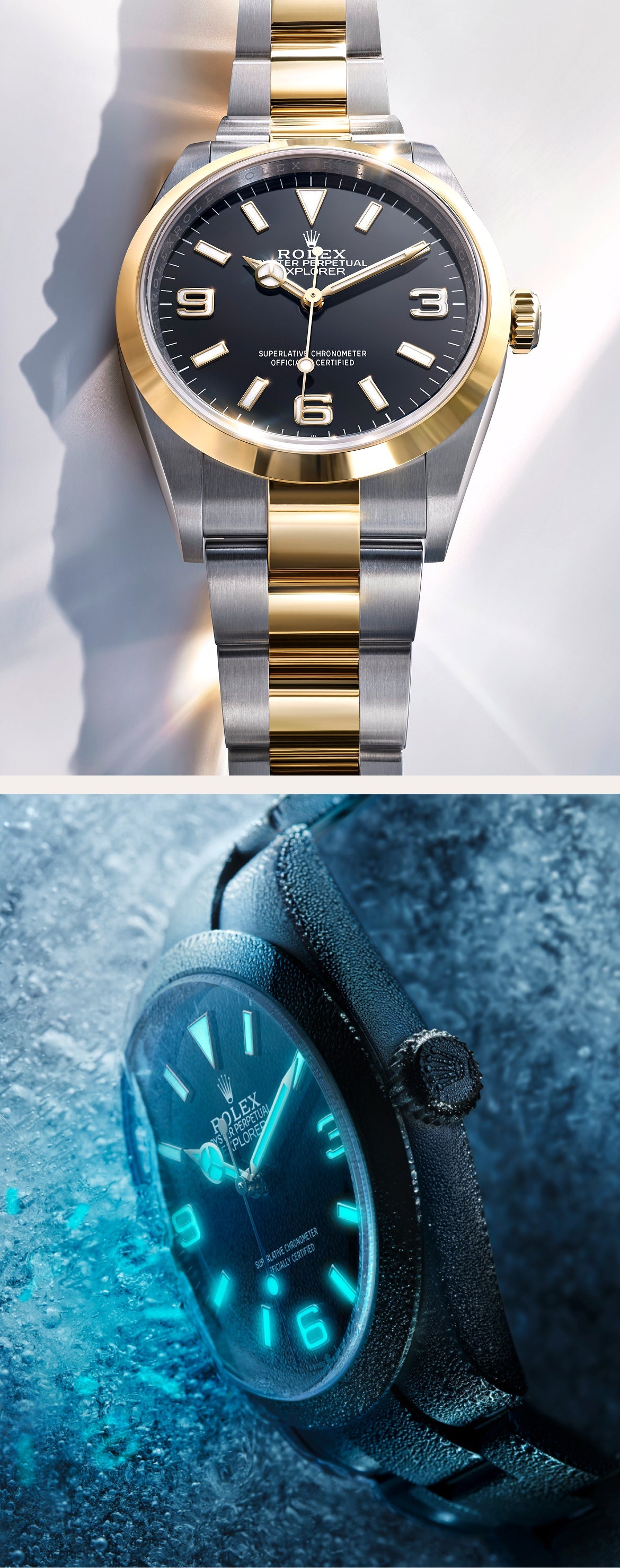 Rolex Explorer watches - Little Switzerland