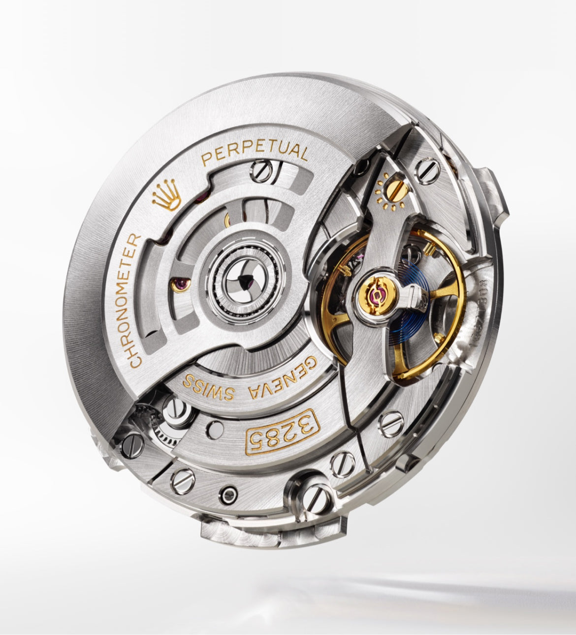 Rolex Explorer II Watches | Little Switzerland
