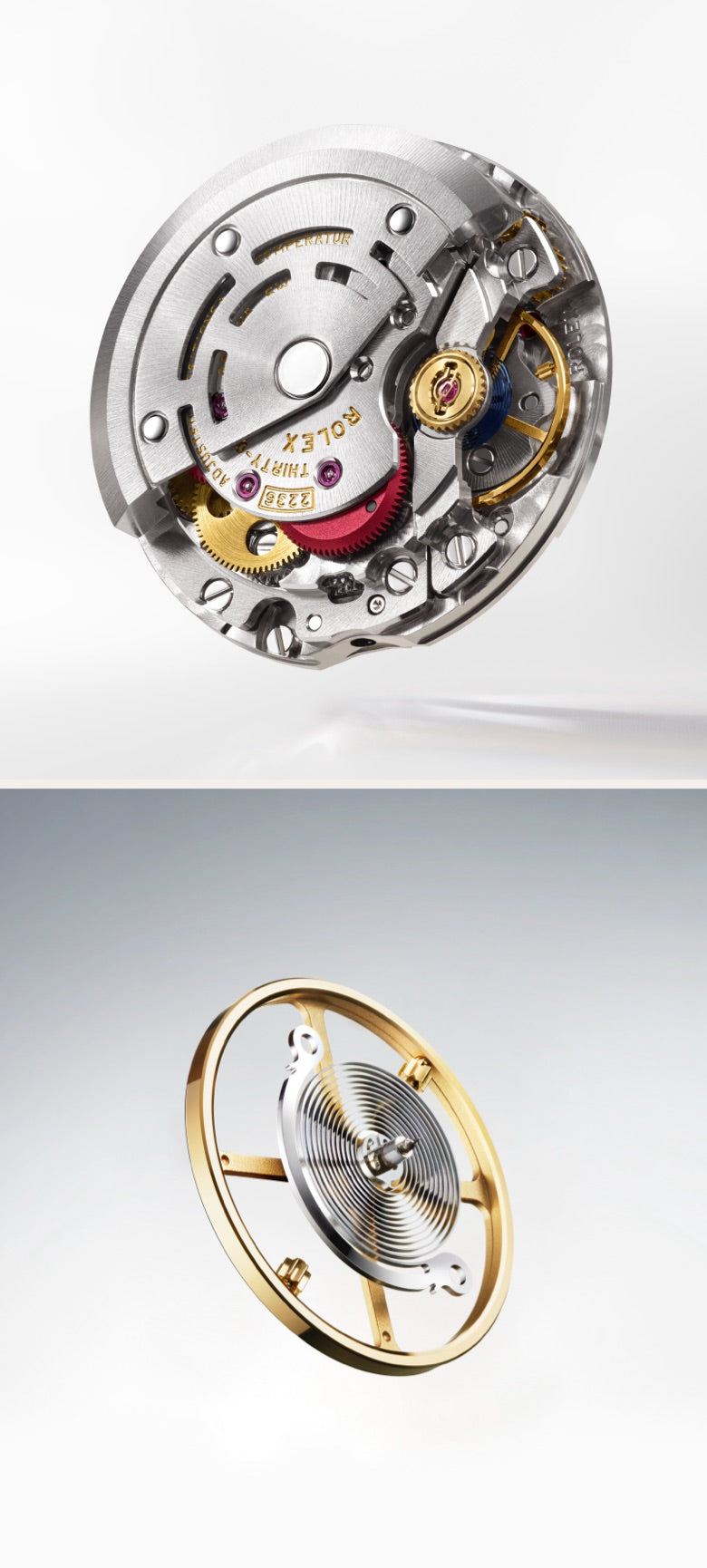 Rolex Lady-Datejust watches - Little Switzerland