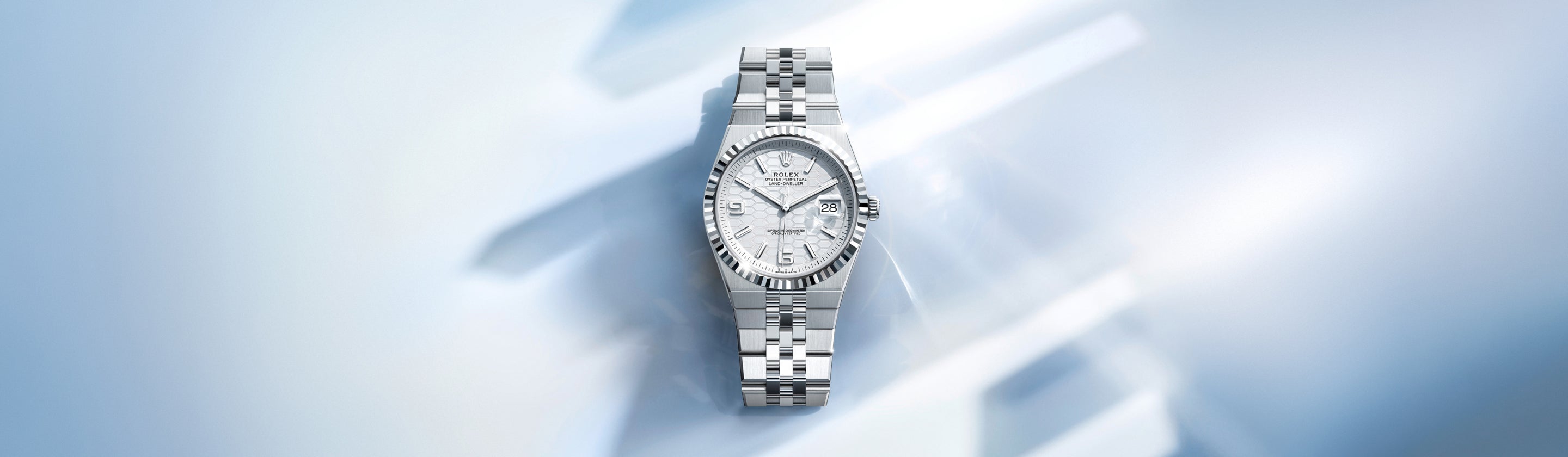 Rolex Land-Dweller watches - Little Switzerland