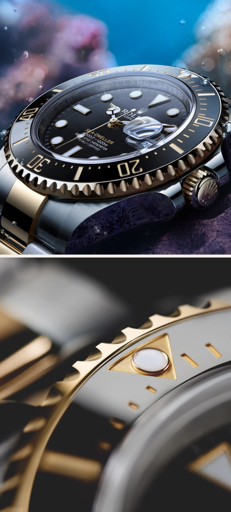 Rolex Sea-Dweller watches - Little Switzerland