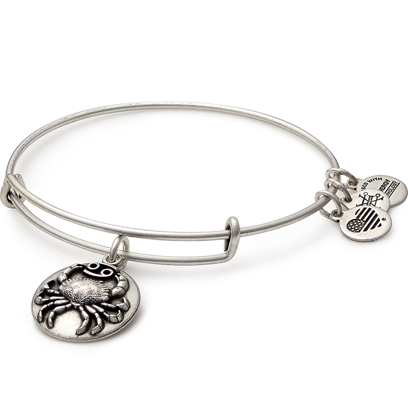 Cancer Charm Bangle