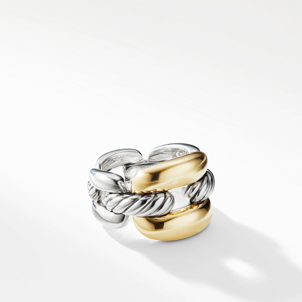 Wellesley Link Large Chain Link Ring with 18K Gold